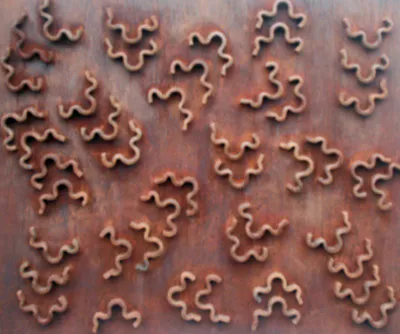 <p>Monte de Venus| 2009</p>
