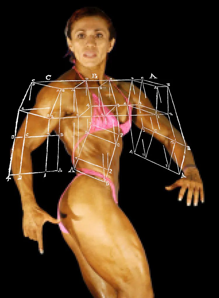 <p>Triceps de perfil | impresión digital ultrachrome | 150x111 cm | 2006</p>
