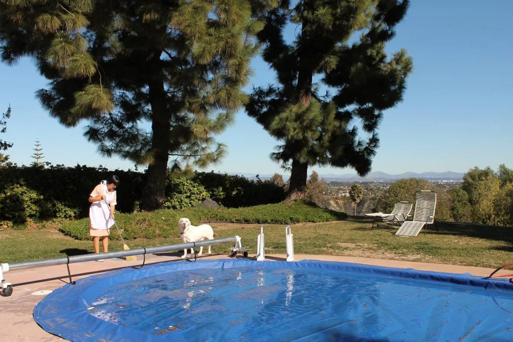 <p>I am an artist and I clean houses</p>
