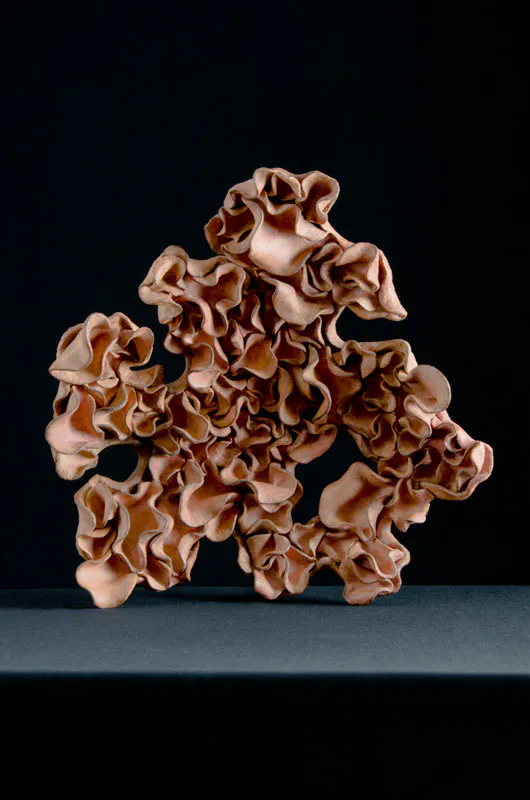 <p>Arrecife | Cerámica | 46 x43 x 12cm | 2009</p>
