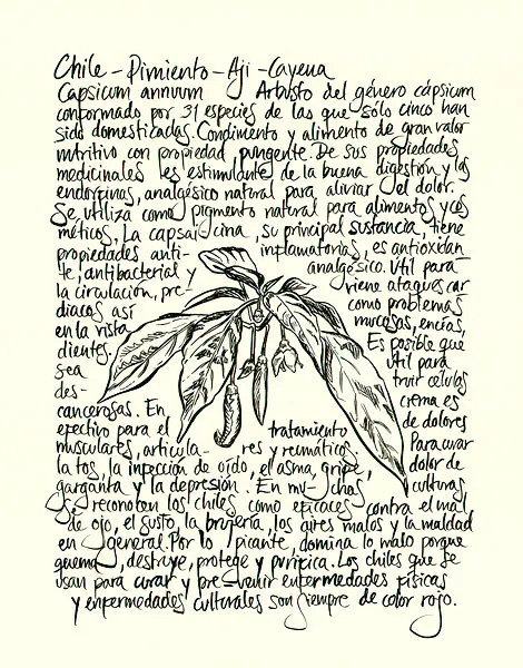 <p>Chile | 2021 | Tinta sobre papel | 35.6x27.9cm</p>
