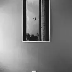 daniela-bojorquez_vertiz