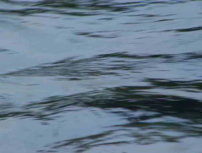 <p>Río azul | impresión digital | 30 x 45 c/u | 2007</p>
