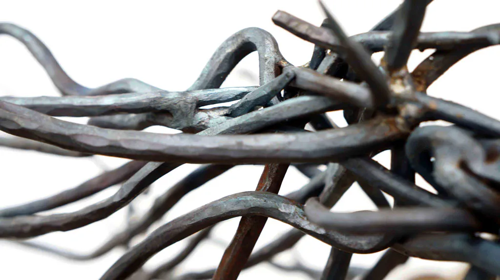 <p>Tillandsia | 2012 | Redondo de fierro forjado</p>
