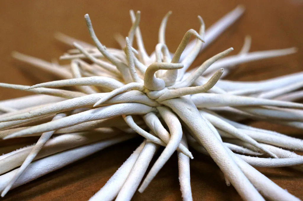 <p>Varias obras en barro papel | 2012</p>
