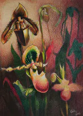 <p>Madame l´orchidée qui murmure, 2023 De la serie Orquídias susurrantes / Lápiz graso  34X24cm</p>
