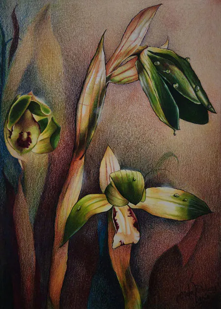 <p>Monsieur l´orchidée qui murmure, 2023 De la serie Orquídias susurrantes / Lápiz graso  34X24cm</p>
