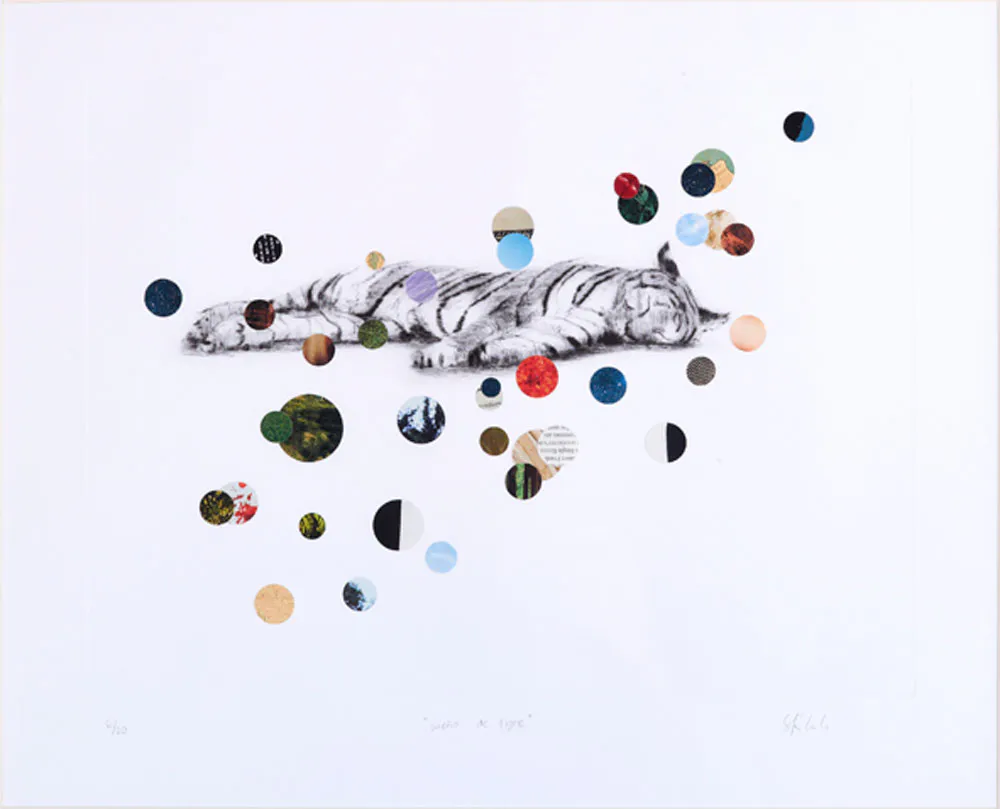 <p>Sueño de tigre | Punta seca c/intervenciones en papel impreso en offset | 35 X 45 cm</p>
