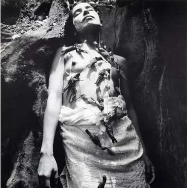 <p>Serie: Arbol de la Noche Triste | Tacuba, México D.F., 1992</p>
