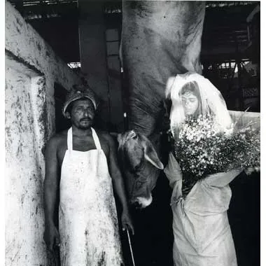 <p>Serie: Rastro II | Frigorífico S.A., Minatitlán, Veracruz 1992</p>
