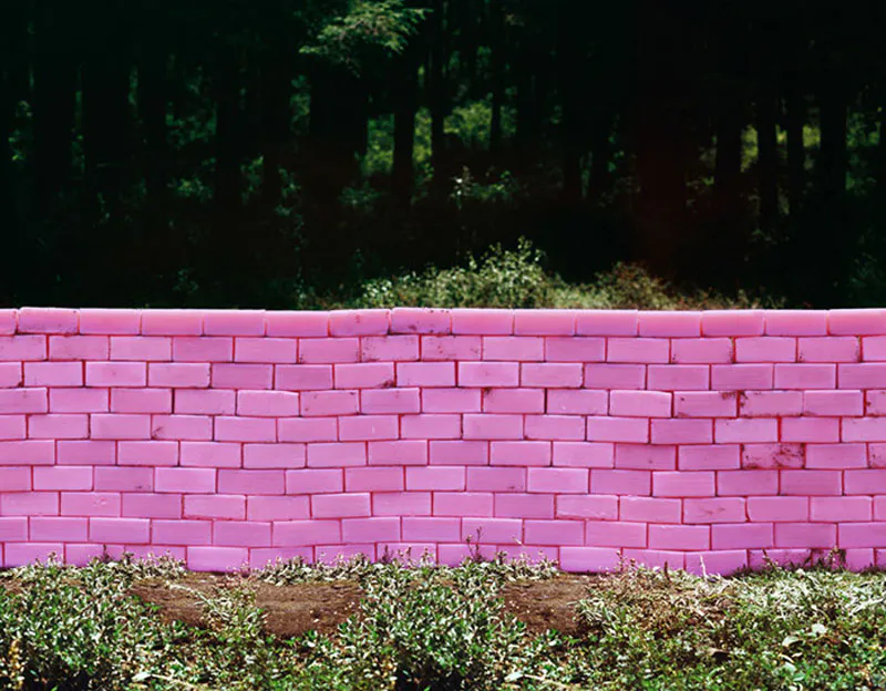 <p>Zote | 2008 | Impresión cromogénica. Ed. de 10 | 120 x 150 cm</p>
