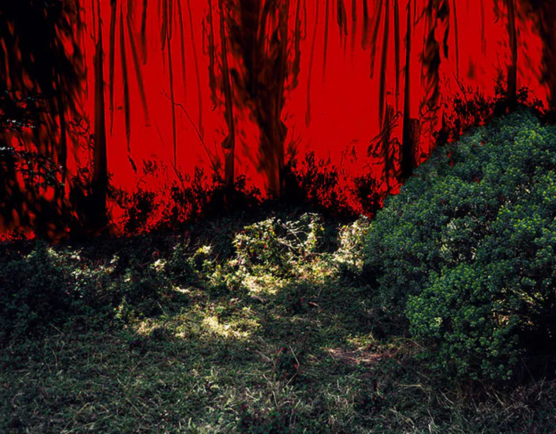 <p>Telón | 2008 | Impresión cromogénica. Ed. de 10 | 120 x 150 cm</p>
