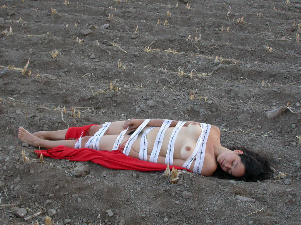 <p>De la serie: La pasión de Juana | Fotografía digital | 2008</p>
