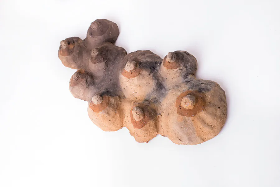 <p>Venus de Atzompa (Hallazgos), Chichitepec. Lucero González. Barro tradicional de Santa María Atzompa y Raku. Medidas variables. 2020</p>
