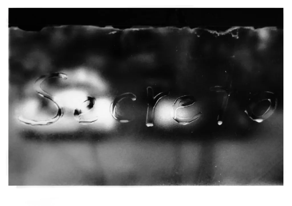 <p>2009-2010 | 50 postales de 10 x 15 cm. cada una en plata sobre gelatina impresas manualmente</p>
