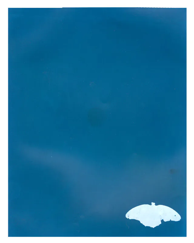 <p>2009-2010 | 50 postales de 10 x 15 cm. cada una en plata sobre gelatina impresas manualmente</p>
