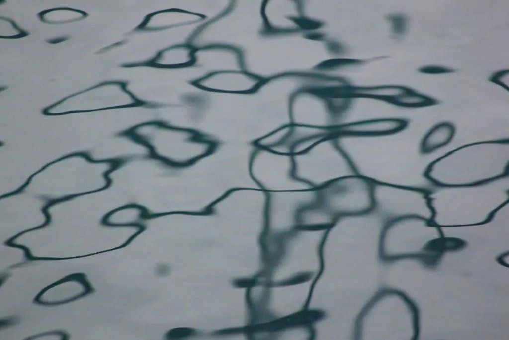 <p>170 x 110 cm | 2010</p>
