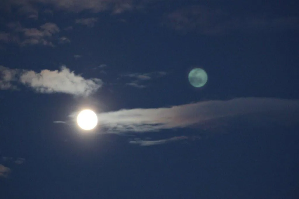 <p>170 x 110 cm | 2010</p>
