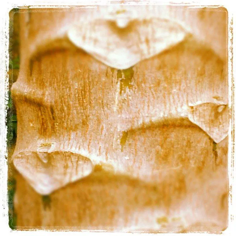 <p>Fotografías impresión cromogénea | 2012</p>
