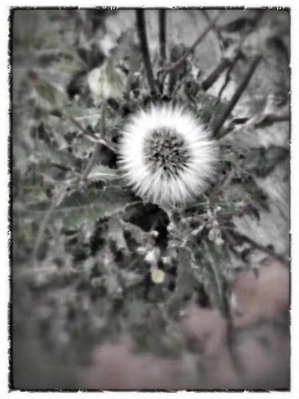 <p>Fotografías impresión cromogénea | 2012</p>
