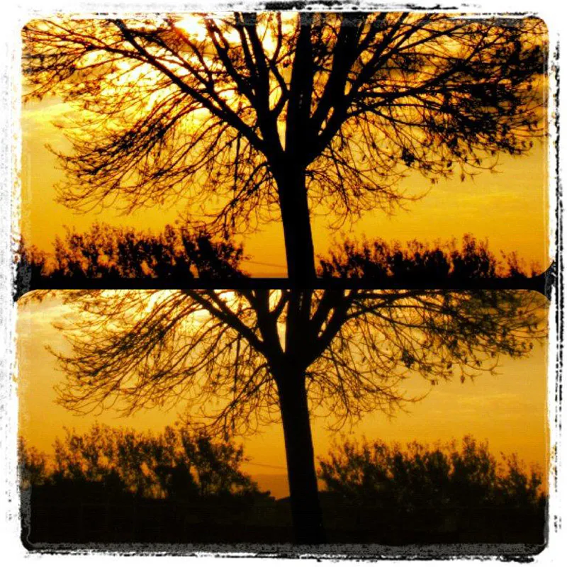 <p>Fotografías impresión cromogénea | 2012</p>
