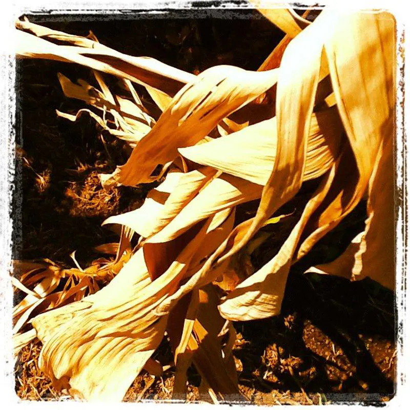 <p>Fotografías impresión cromogénea | 2012</p>
