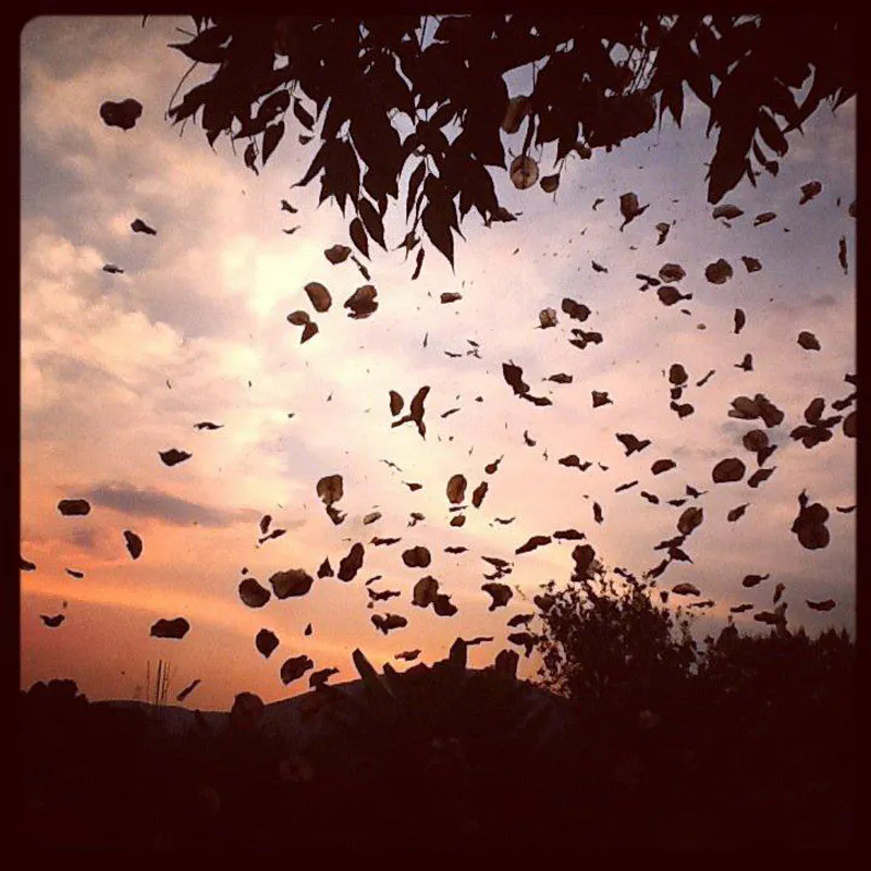 <p>Fotografías impresión cromogénea | 2012</p>
