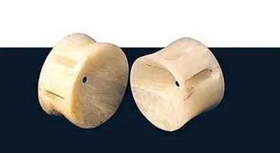 <p>Vertebras de pescado | Onix | 30 x 100 cm | 2003</p>
