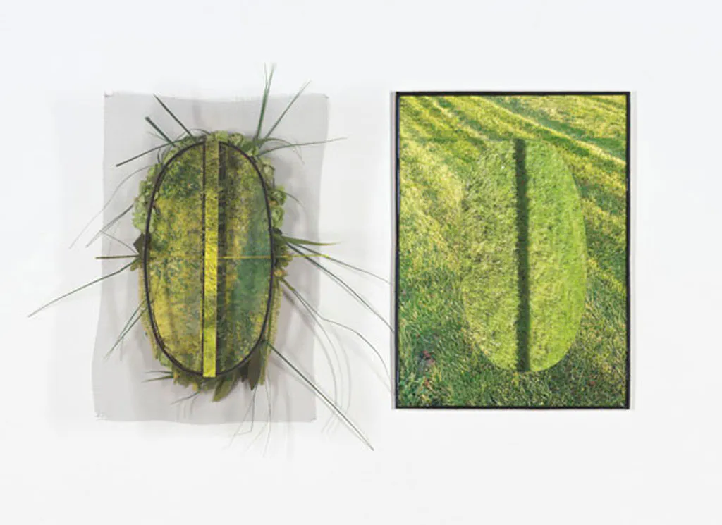 <p>Tantra Verde | Díptico, técnica mixta: fotografía digital, hierro, malla metálica, plástico, vidrio, hojalata | 55 x 85 cm. aprox. | 2010 - 2012</p>
