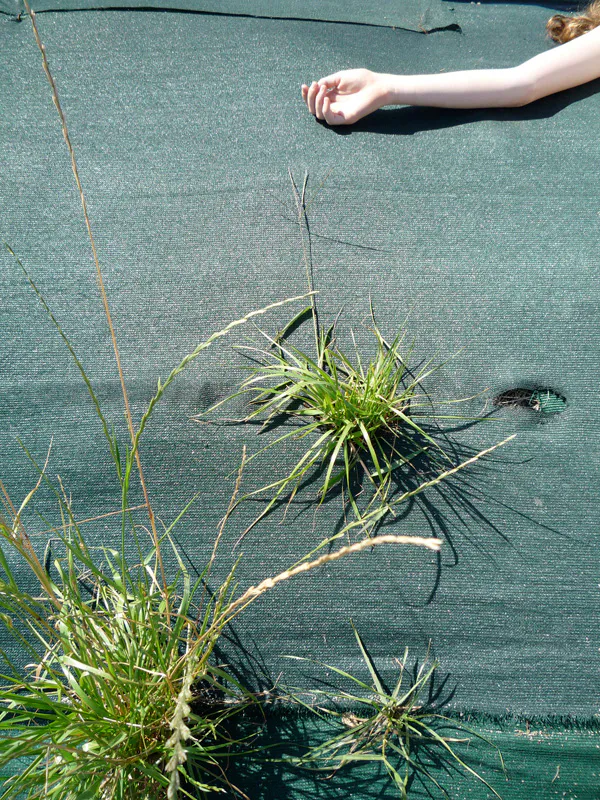 <p>El Brazo | Fotografía digital | 2010</p>
