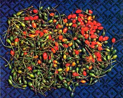 <p>De la serie: Nuestro Chile | 1998</p>
