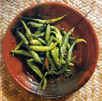 <p>De la serie: Nuestro Chile | 1998</p>
