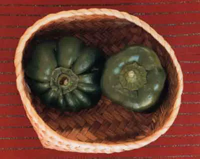 <p>De la serie: Nuestro Chile | 1998</p>
