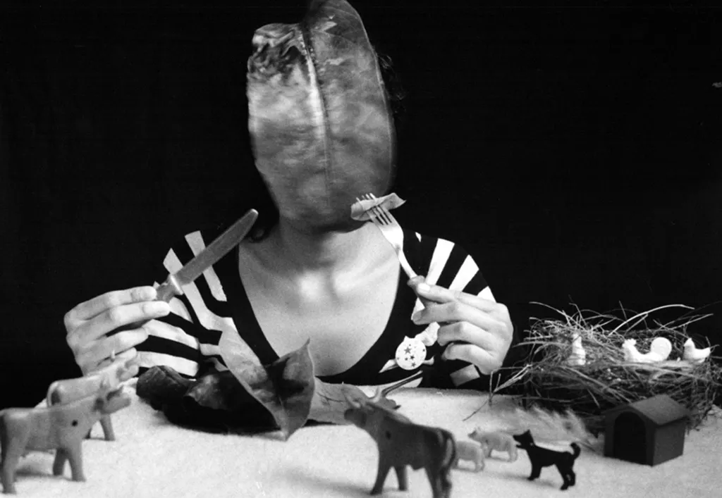 <p>Vegetariana | 8x10&quot | Plata sobre gelatina | papel de fibra | 2008</p>
