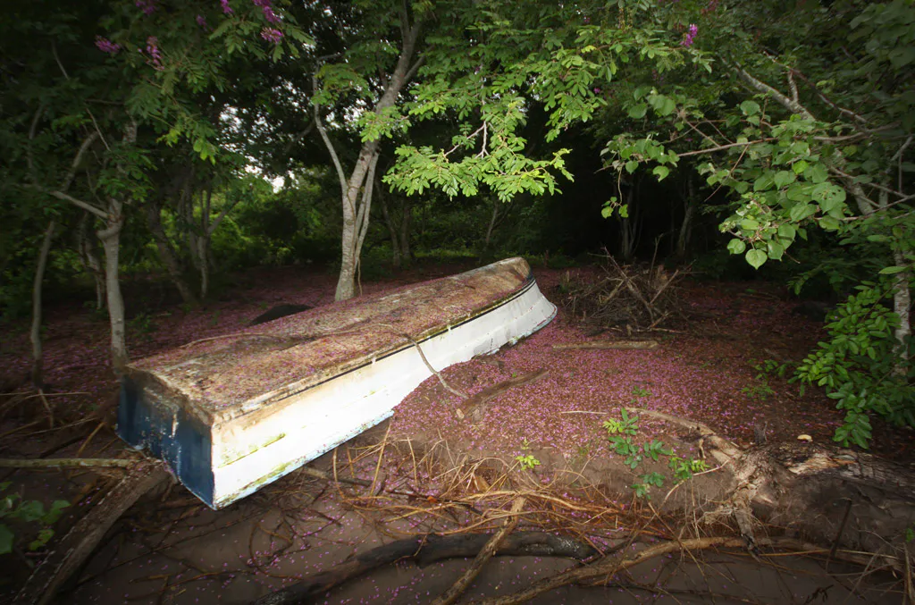 <p>Crónicas del Abandono (2013)</p>
