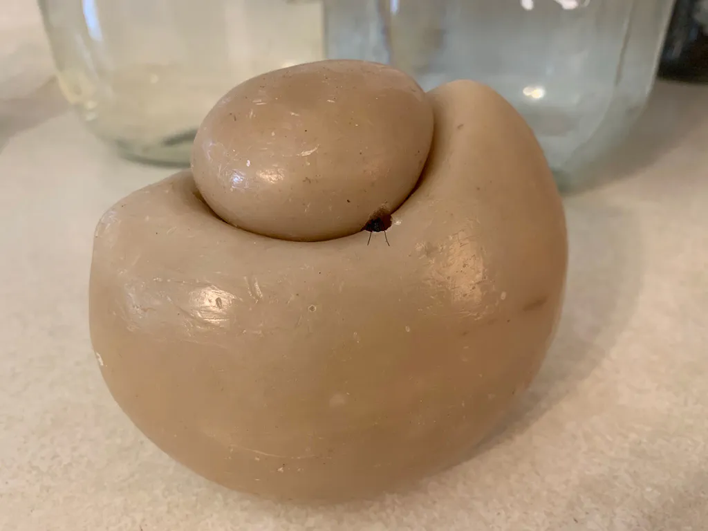 <p>Contenedor modelado por YP, con modificación de hormigas | Contenedor de cera de abeja para miel. 2010. Cera y miel. 10 x 12 x 9 cm - Modificación de hormigas. 7mm de diámetro por 1 cm de profundidad.  Verano del 2020, Winnipeg, Canadá.</p>
