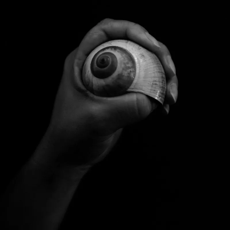 <p>Insuperable opacidad, 2013</p>
