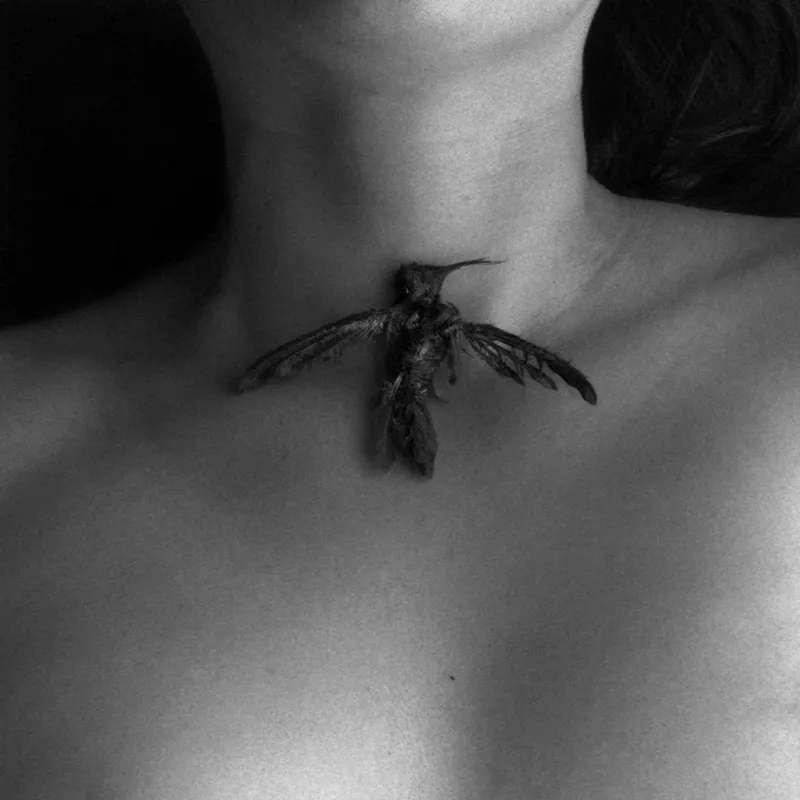 <p>Insuperable opacidad, 2013</p>
