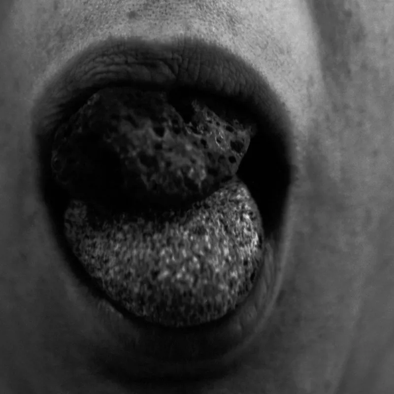 <p>Insuperable opacidad, 2013</p>
