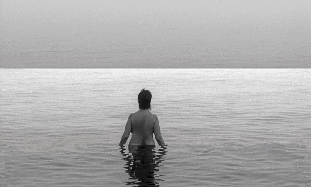 <p>Camino abierto (El Dao)</p>
