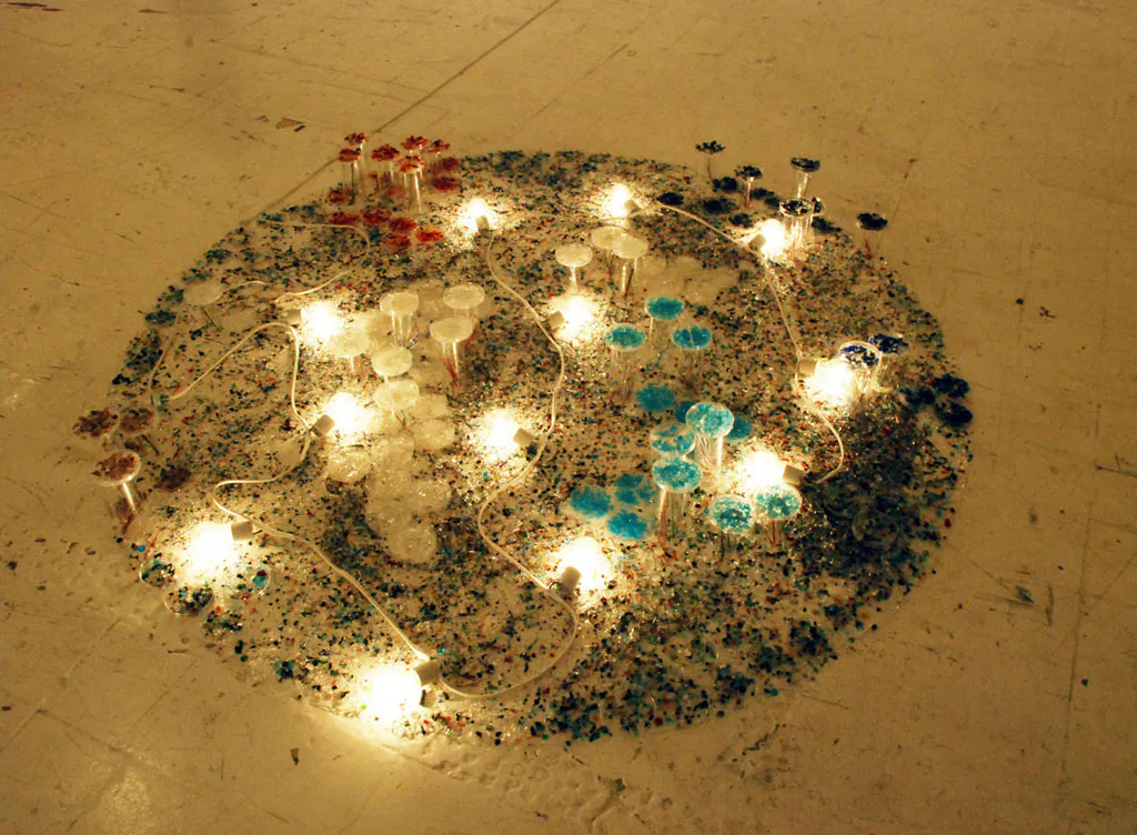 <p>Reflexiones Pedacería de vidrio, cajas petri y circuito de luz | Medidas variables | 2.50cm de diámetro | 2010</p>
