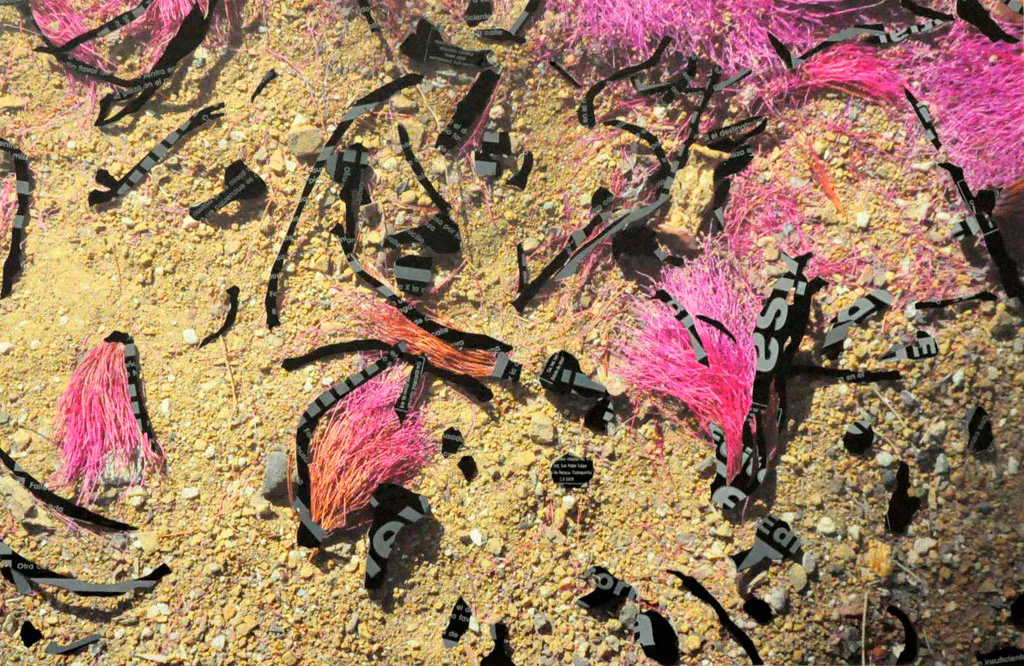 <p>Cocuche televisa I,II,III y IV | De la serie: Bótanica: nuevas especies | Fotografía intervenida | 50x70cm | 2012</p>
