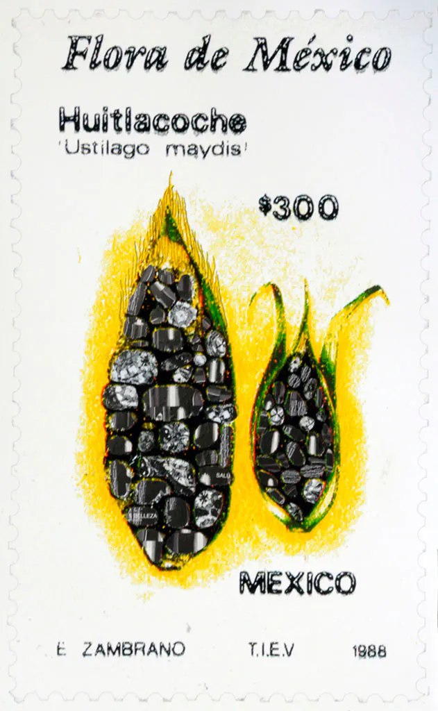 <p>Ustilago MAC | Collage | 103 x 68 cm | 2013</p>
