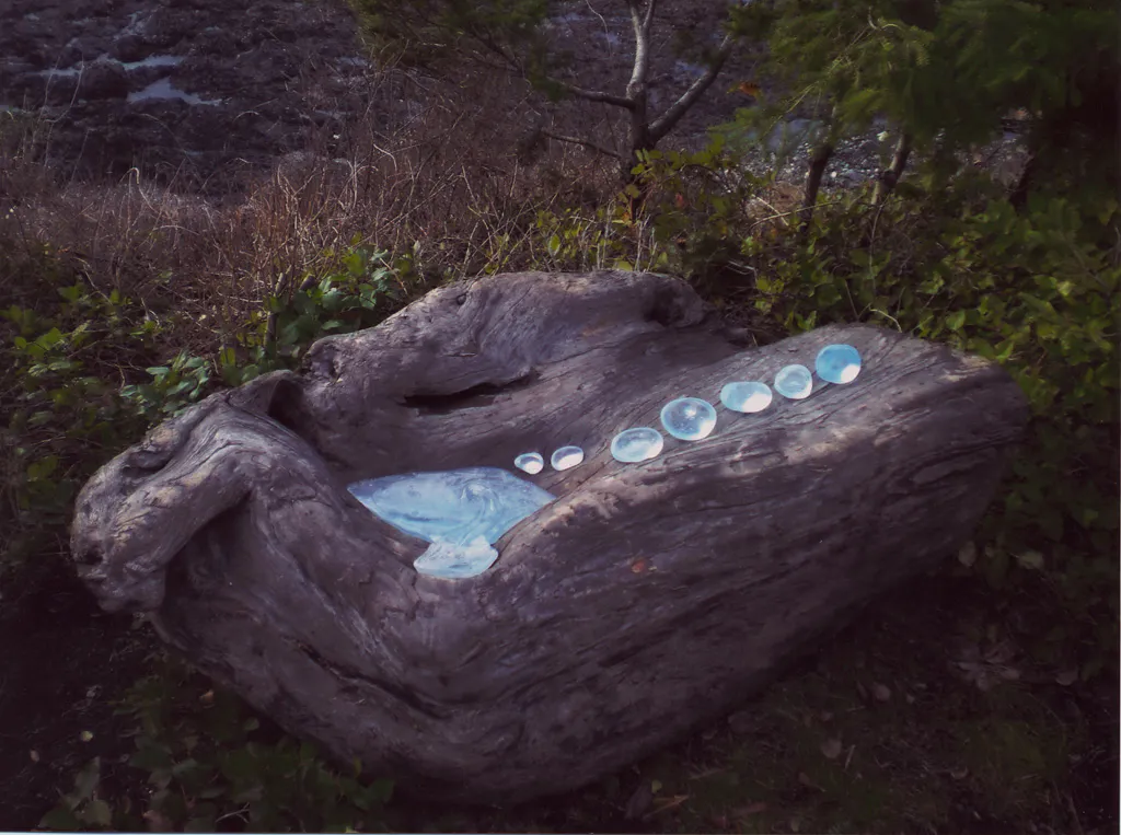 <p>Vagabundo | Vidrio vaciado, madera playada | 69 x 183 x 92 cm | 2008</p>
