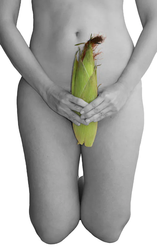 <p>De la serie: La boda del maíz | 2010</p>
