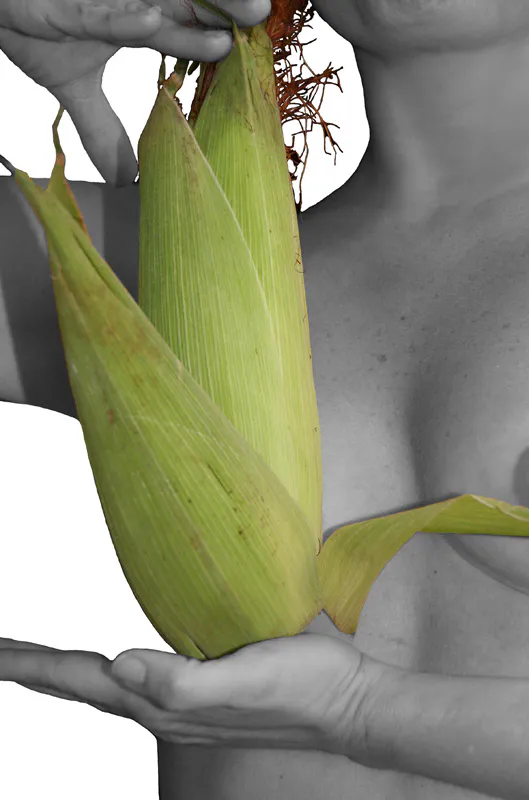 <p>De la serie: La boda del maíz | 2010</p>
